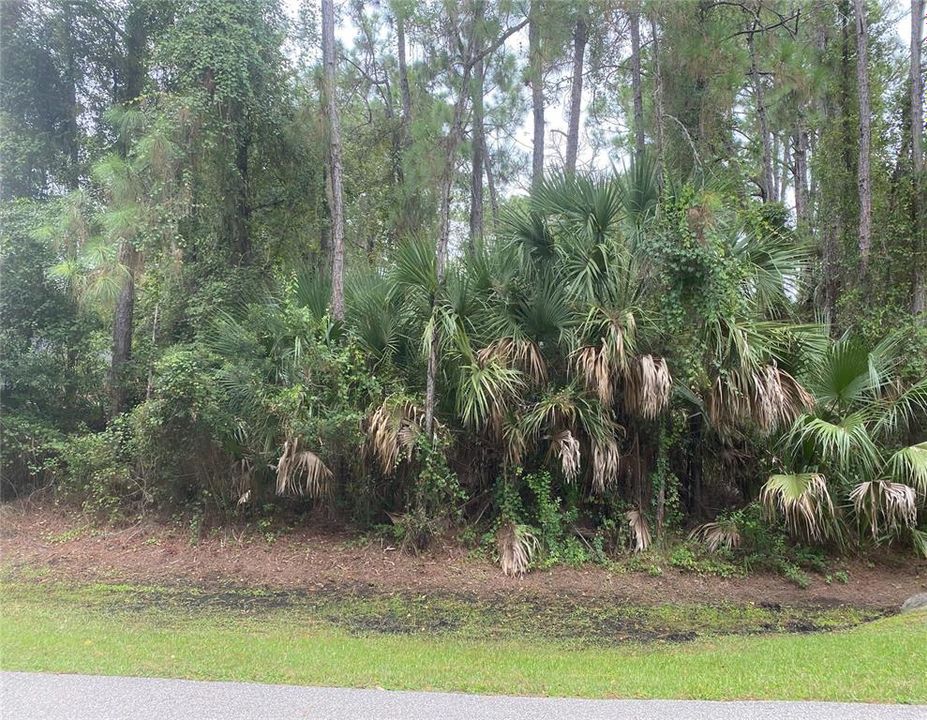 Vendido Recientemente: $17,000 (0.24 acres)