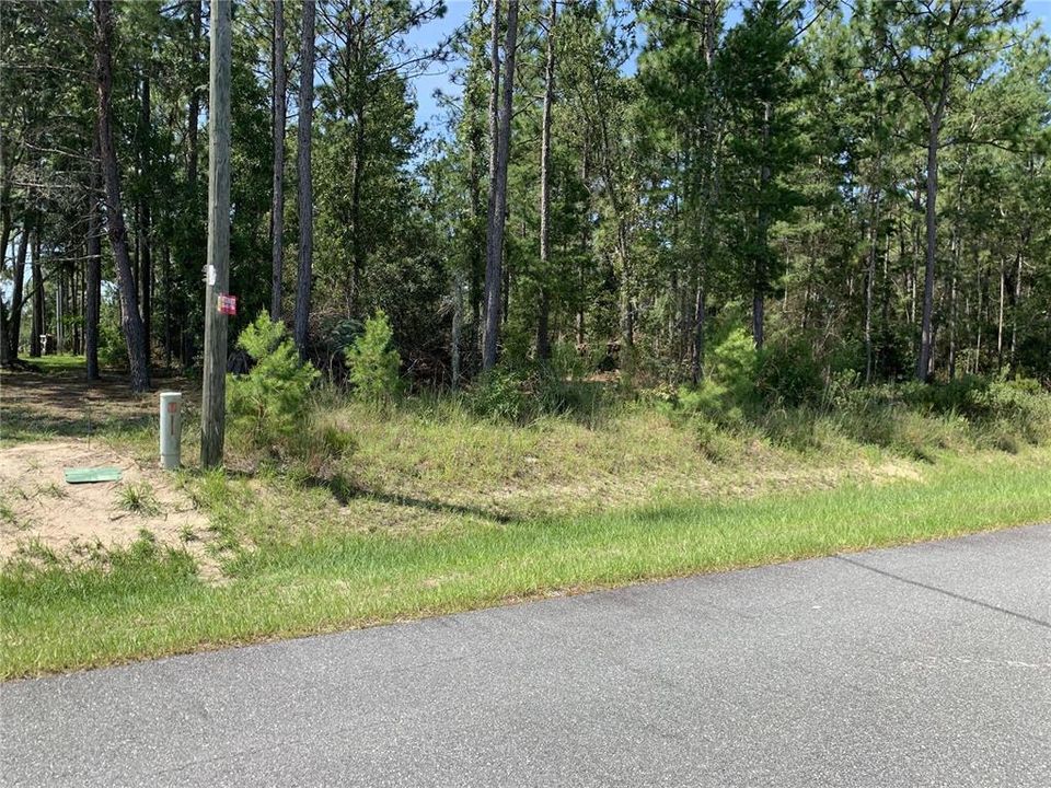Recently Sold: $74,900 (1.25 acres)