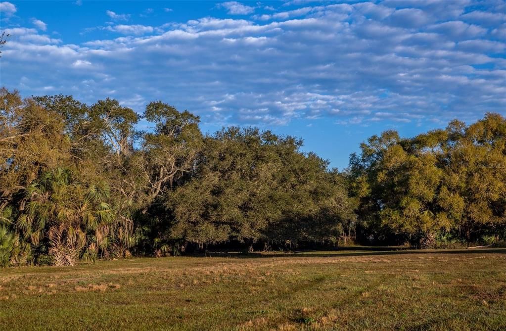 Недавно продано: $238,240 (14.89 acres)