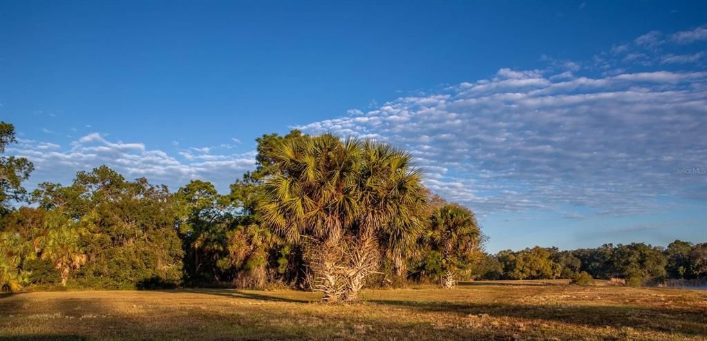 Vendido Recientemente: $238,240 (14.89 acres)