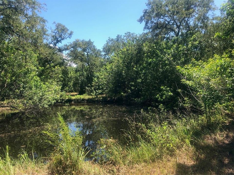 Recently Sold: $150,000 (2.50 acres)