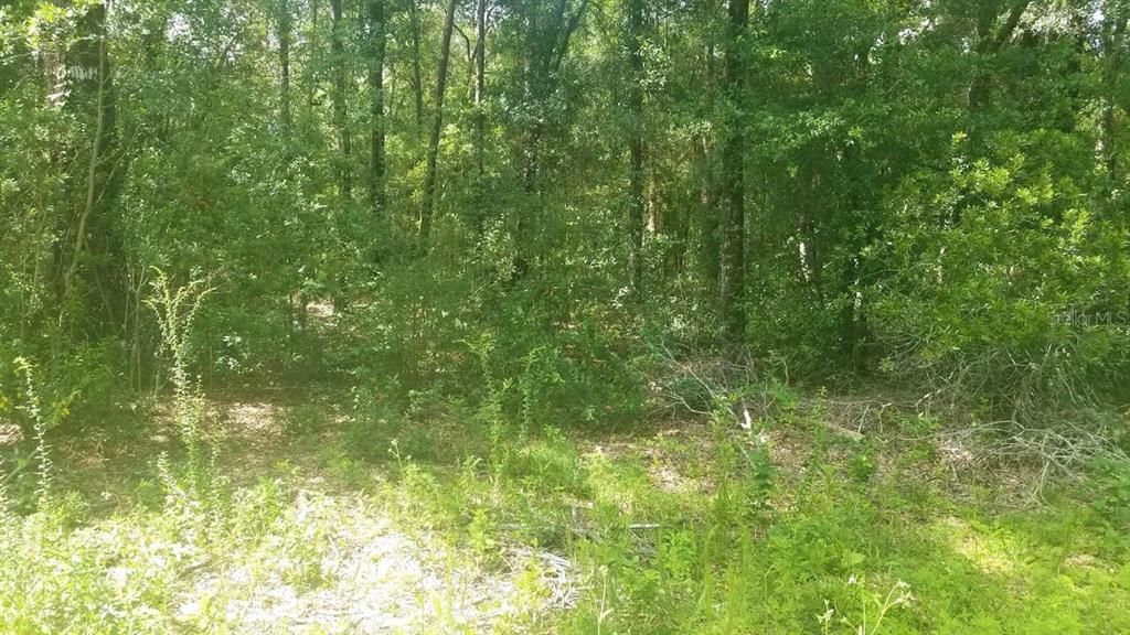 Recently Sold: $22,900 (0.52 acres)