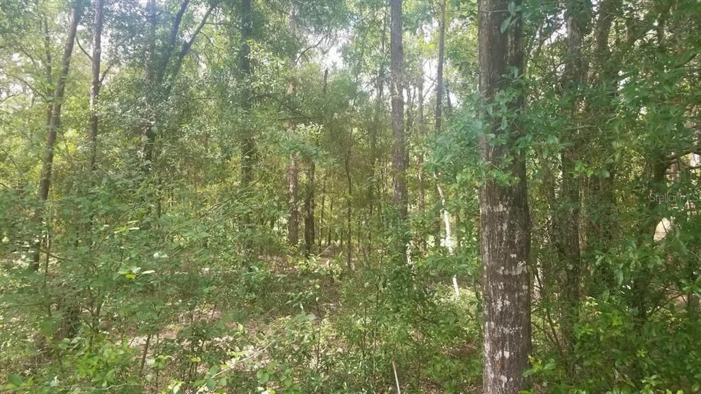 Recently Sold: $22,900 (0.52 acres)