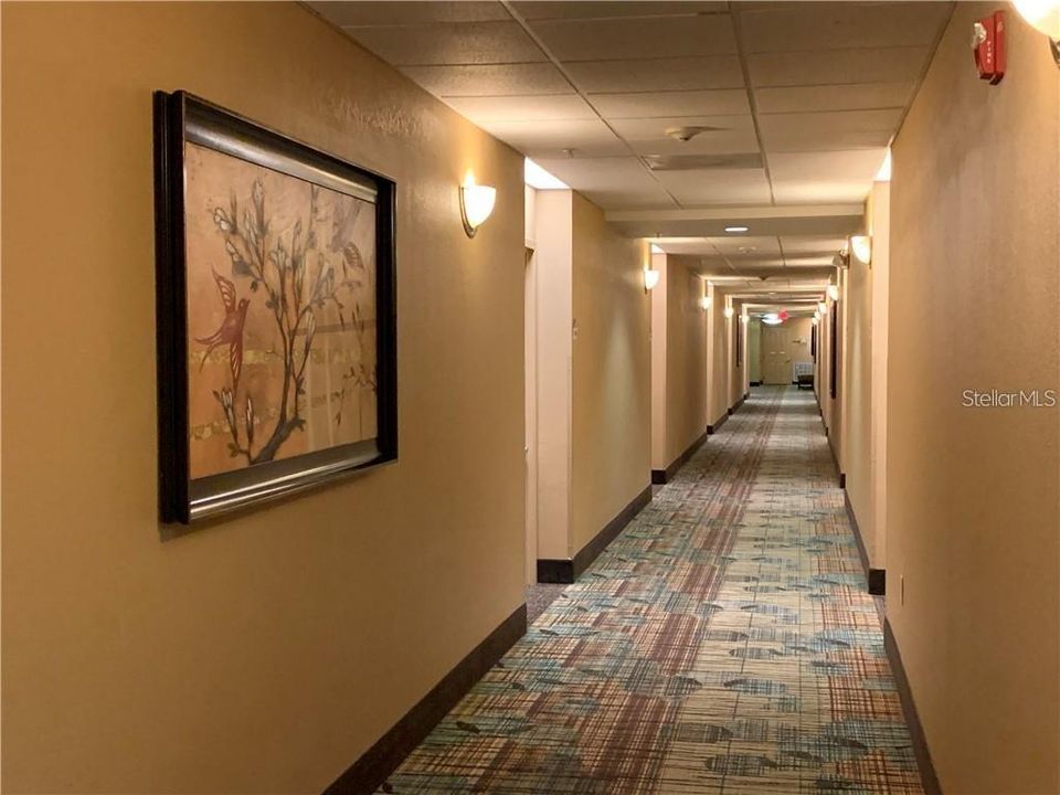 Interior hallways