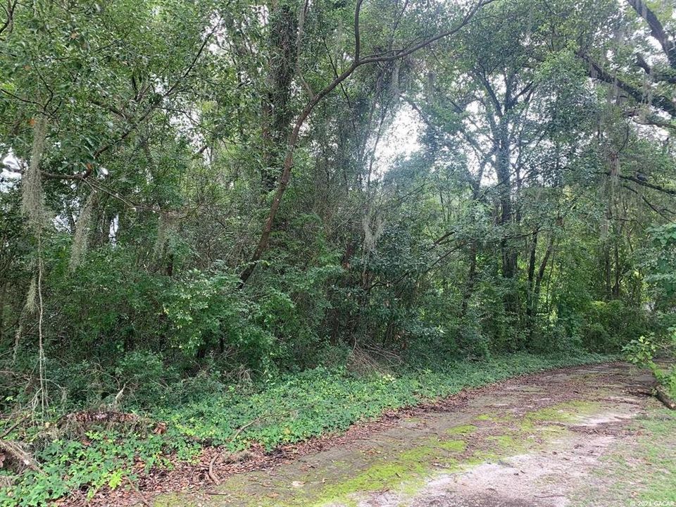 Recently Sold: $16,900 (0.10 acres)