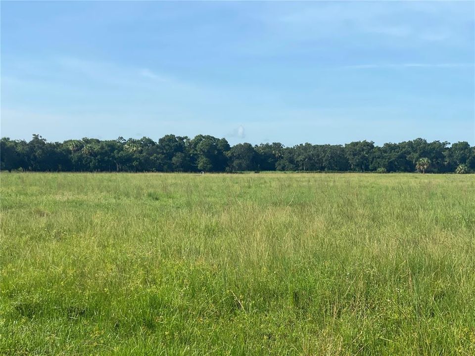 Recently Sold: $487,055 (33.59 acres)