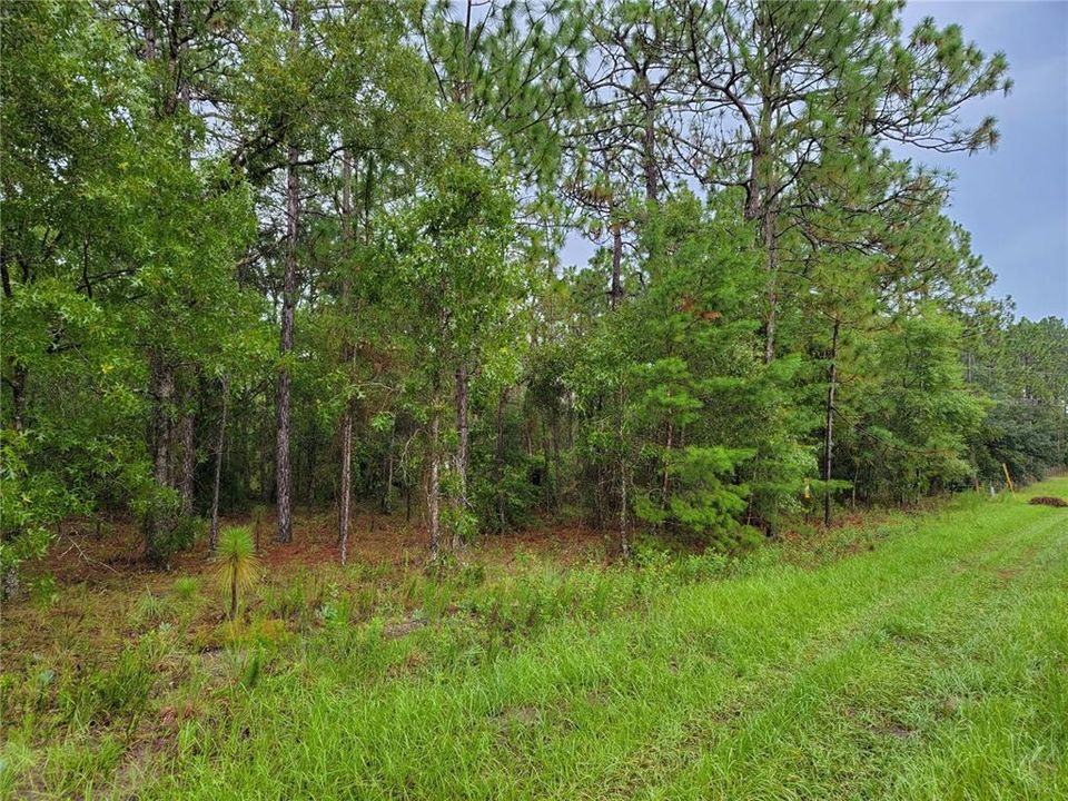 Recently Sold: $11,000 (0.46 acres)