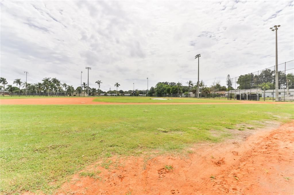 ball fields of the park