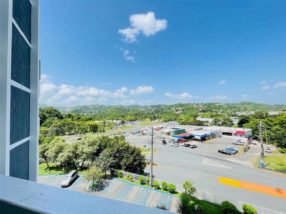 View from Balcony