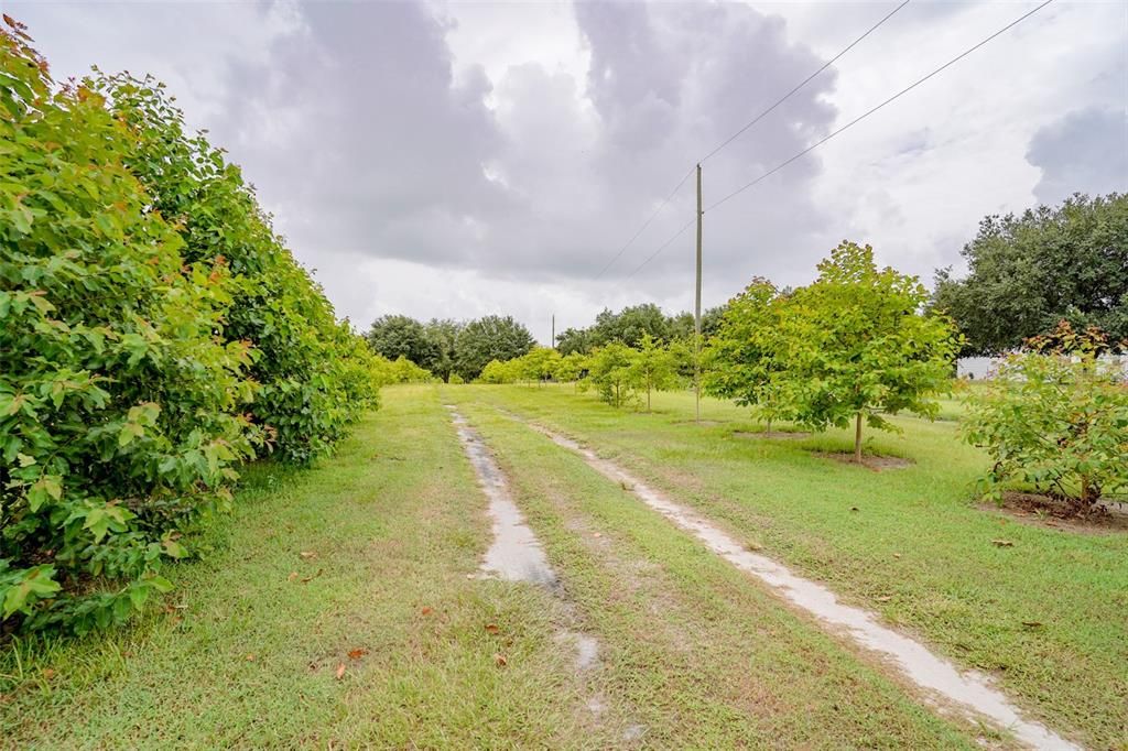 Vendido Recientemente: $399,500 (3 camas, 2 baños, 1929 Pies cuadrados)