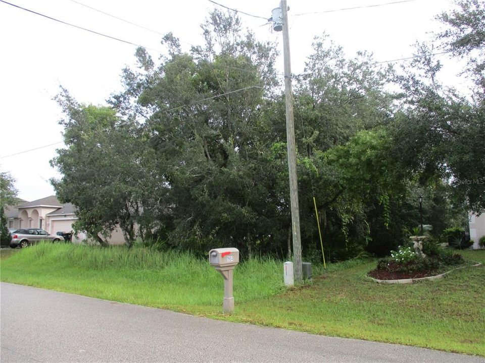 Side view of lot from road