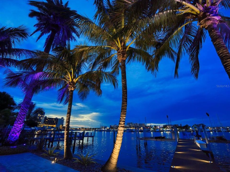 Spectacular up lights showcase gorgeous Palms and what a view!