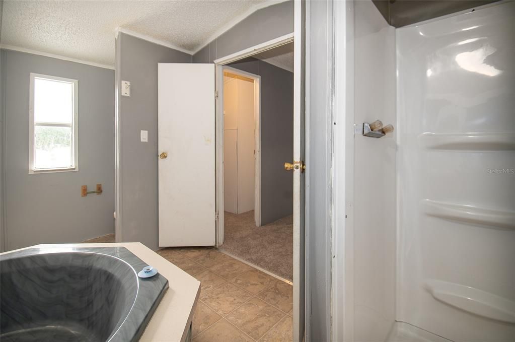 Master Bath - Tub - Separate Shower