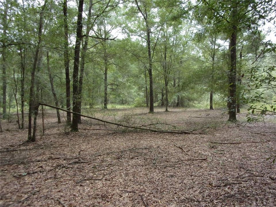 Recently Sold: $50,000 (4.13 acres)