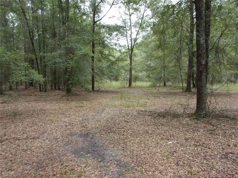 Recently Sold: $50,000 (4.13 acres)
