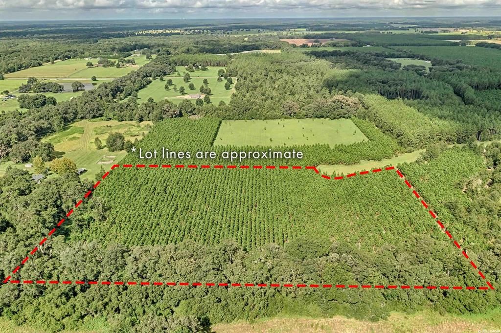 Недавно продано: $109,900 (11.01 acres)