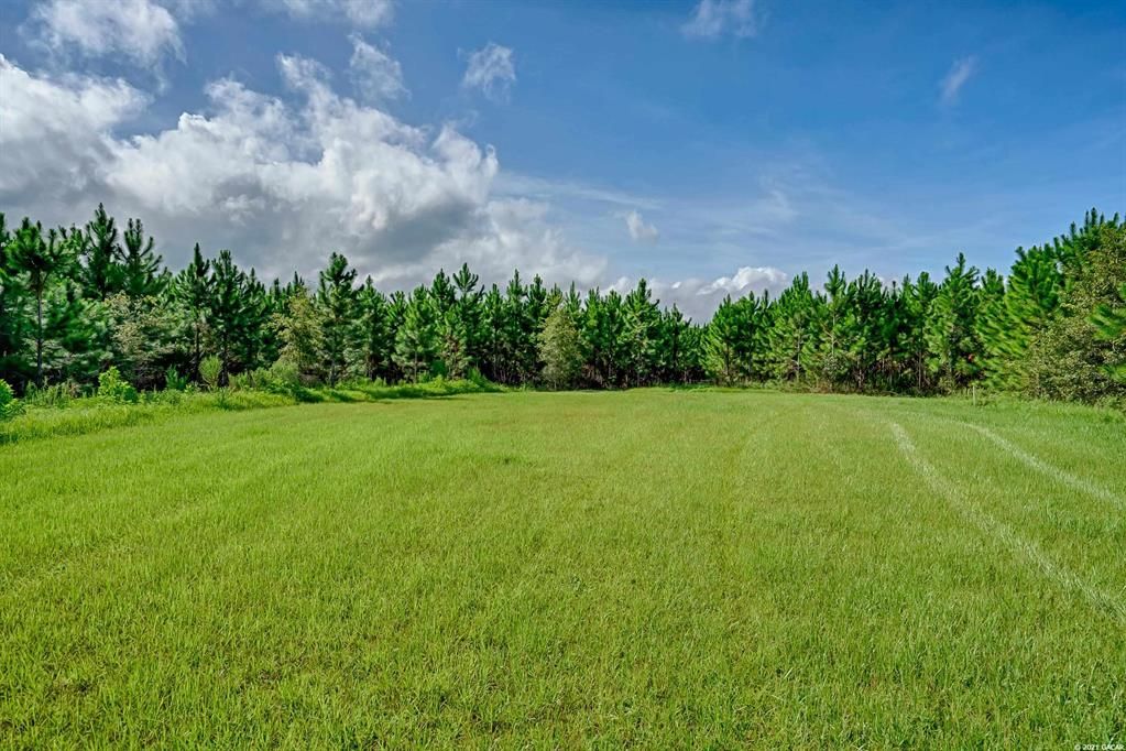 Vendido Recientemente: $109,900 (11.01 acres)