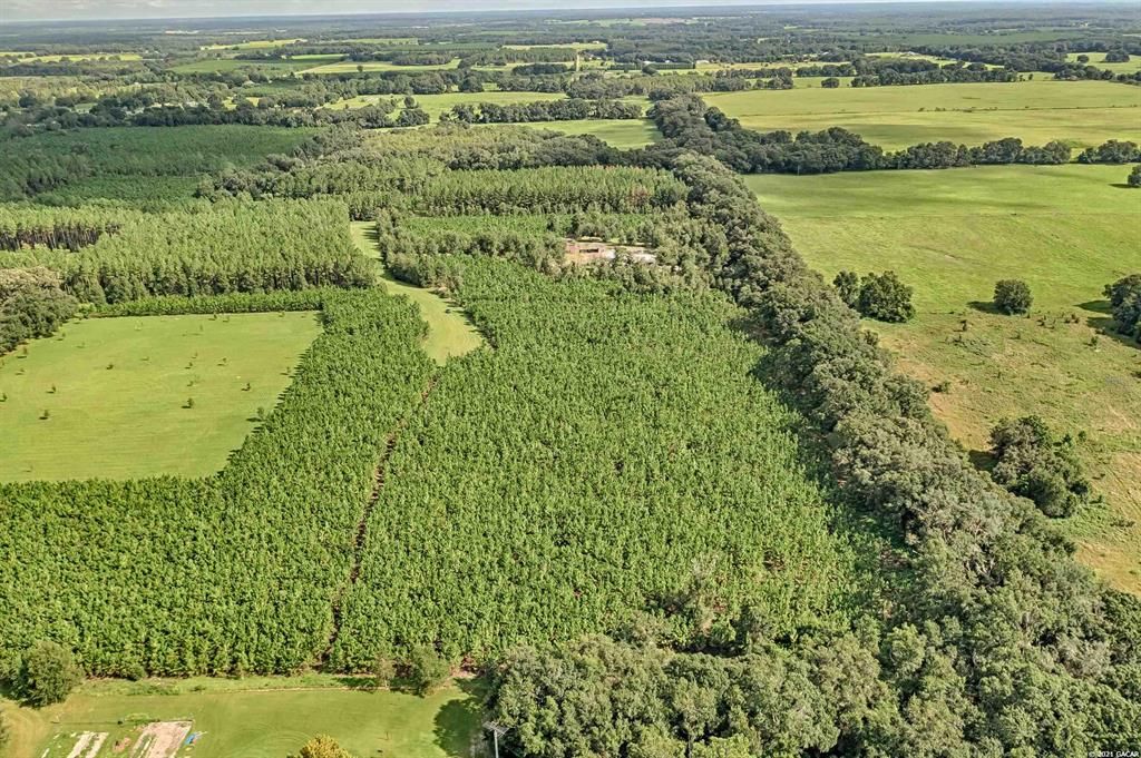 Недавно продано: $109,900 (11.01 acres)