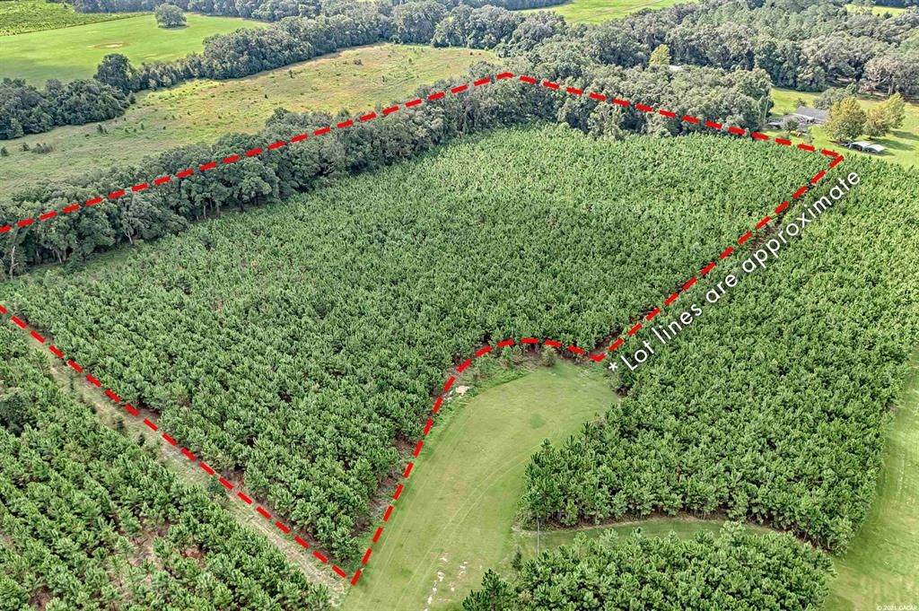 Недавно продано: $109,900 (11.01 acres)