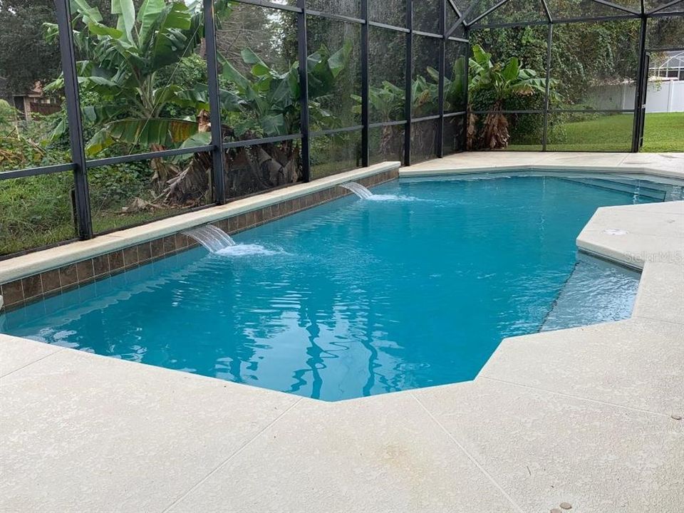 Pool in Backyard