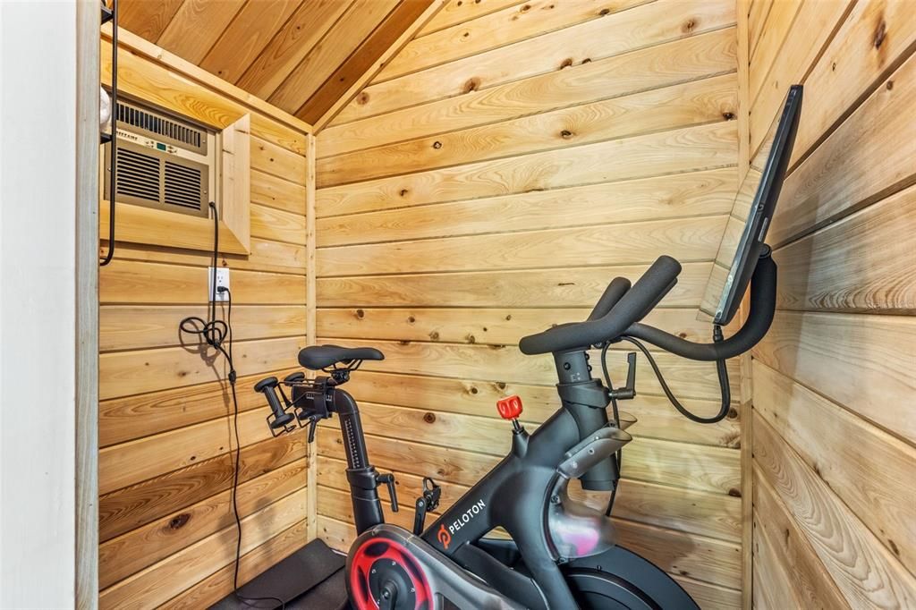 Wine Cellar with Temp Control - Currently used as the Peloton Room