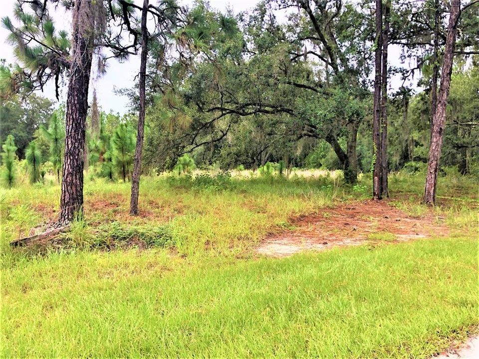 Недавно продано: $17,900 (0.73 acres)