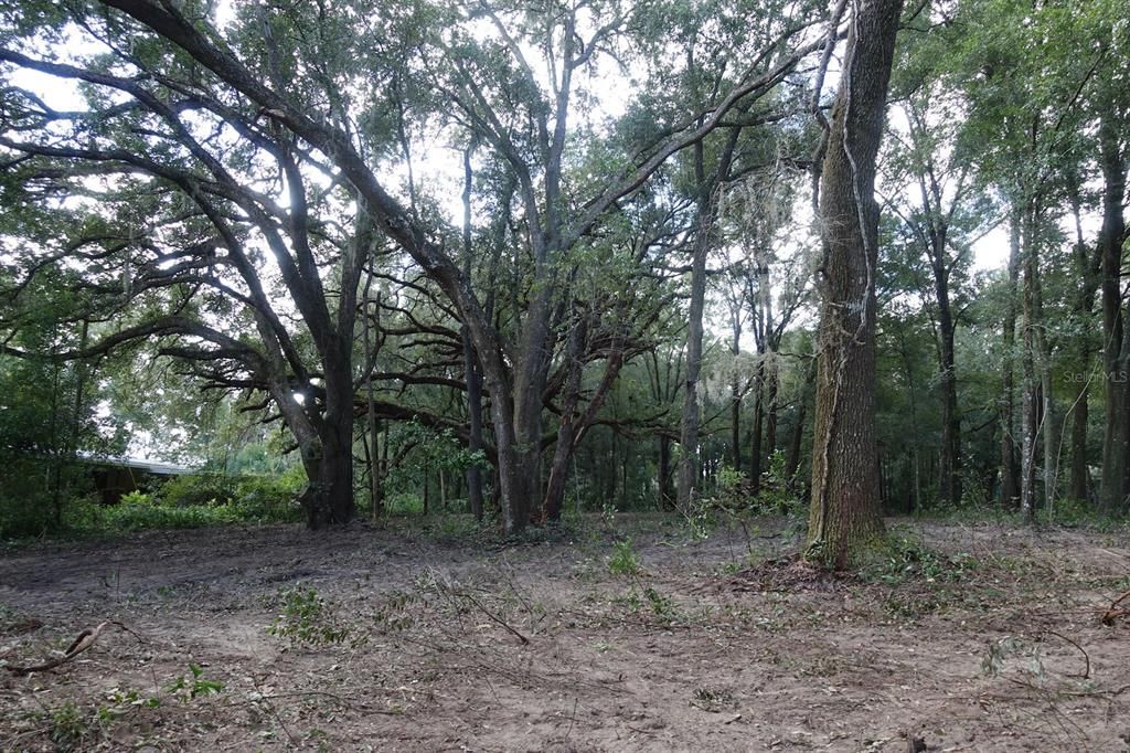 Vendido Recientemente: $68,500 (1.01 acres)