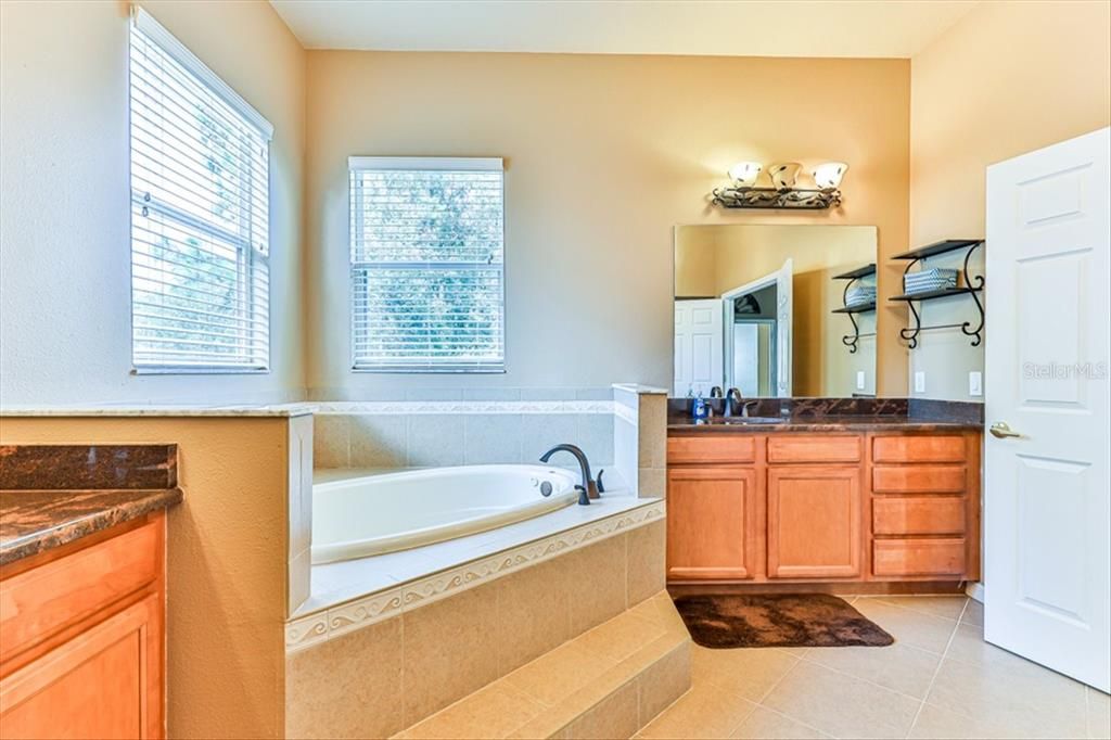 Upstairs Master Bathroom