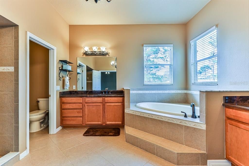 Upstairs Master Bathroom