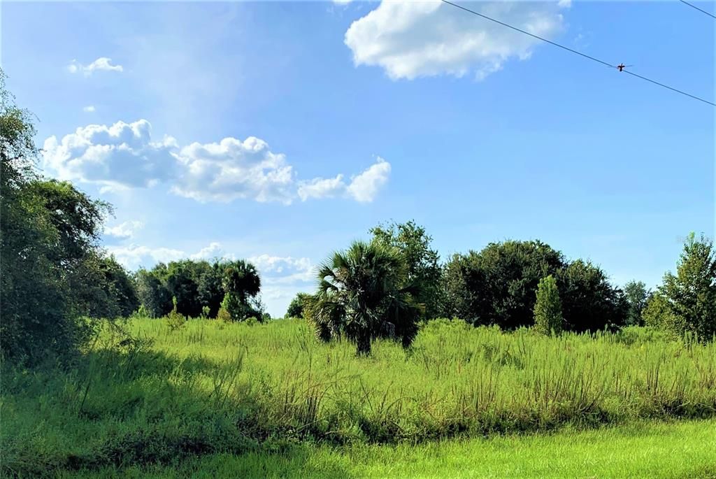 Recently Sold: $199,000 (4.79 acres)