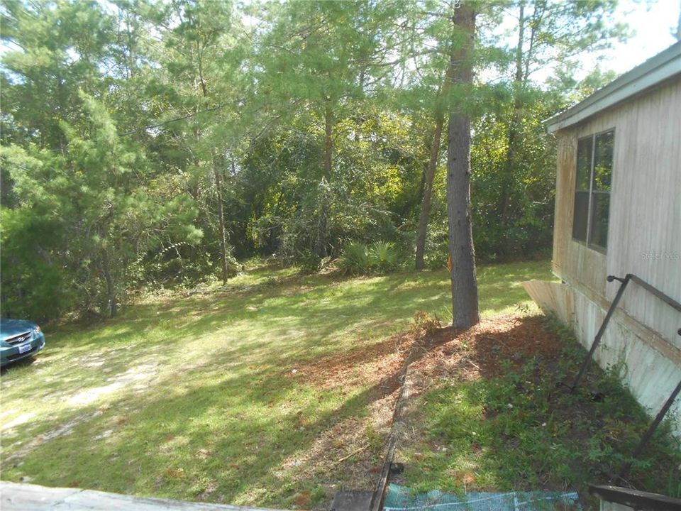 Wooded area around house