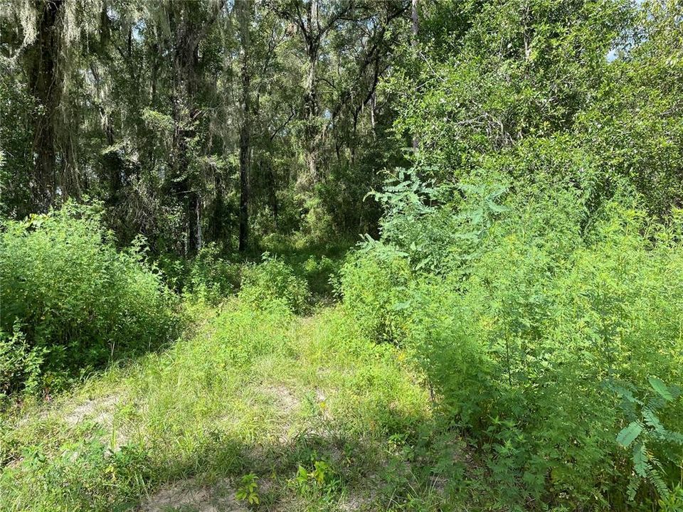 Recently Sold: $30,000 (2.27 acres)