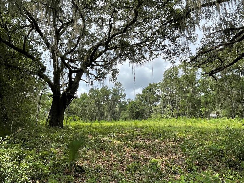Recently Sold: $45,000 (2.18 acres)