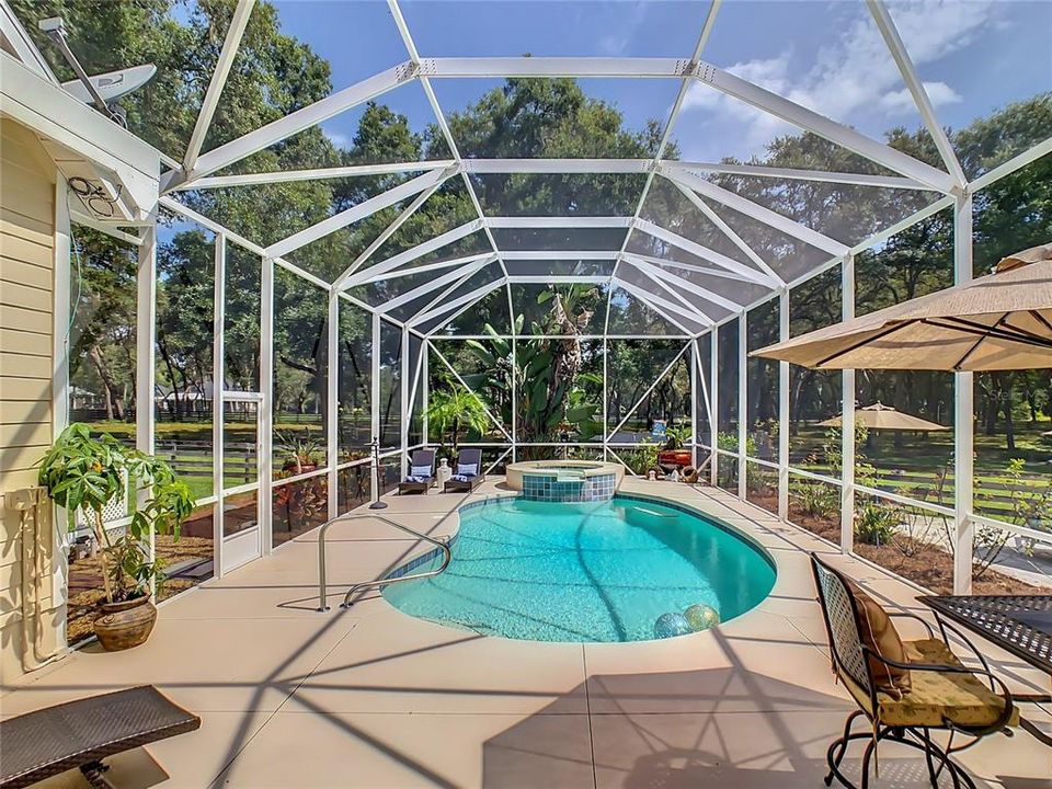 Pool Screening is very tall, creating a dramatic effect. Don't miss the CUSTOM L.E.D. Lighting on the upper frame of the cage - so fabulous for evening entertaining!