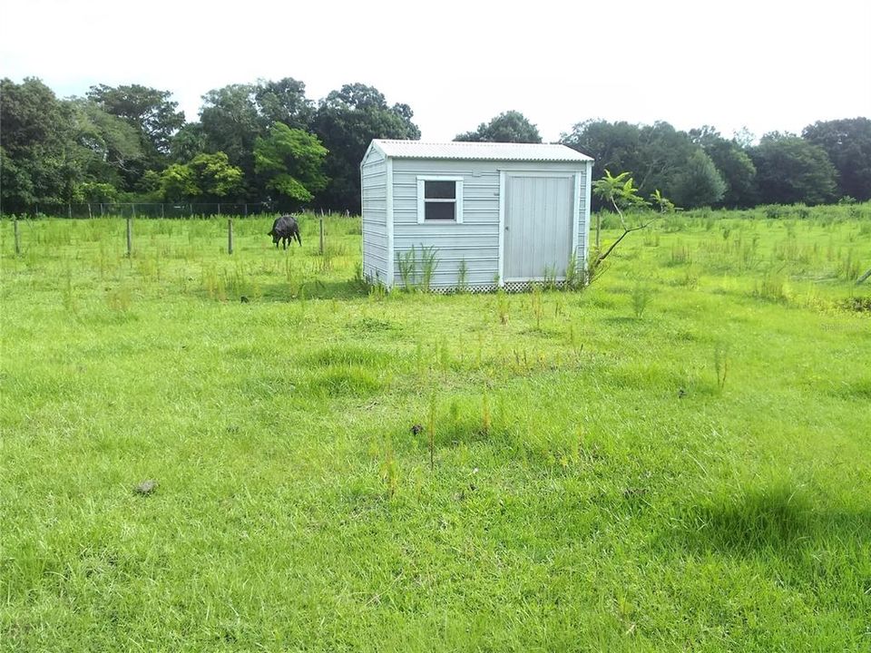 shed with well
