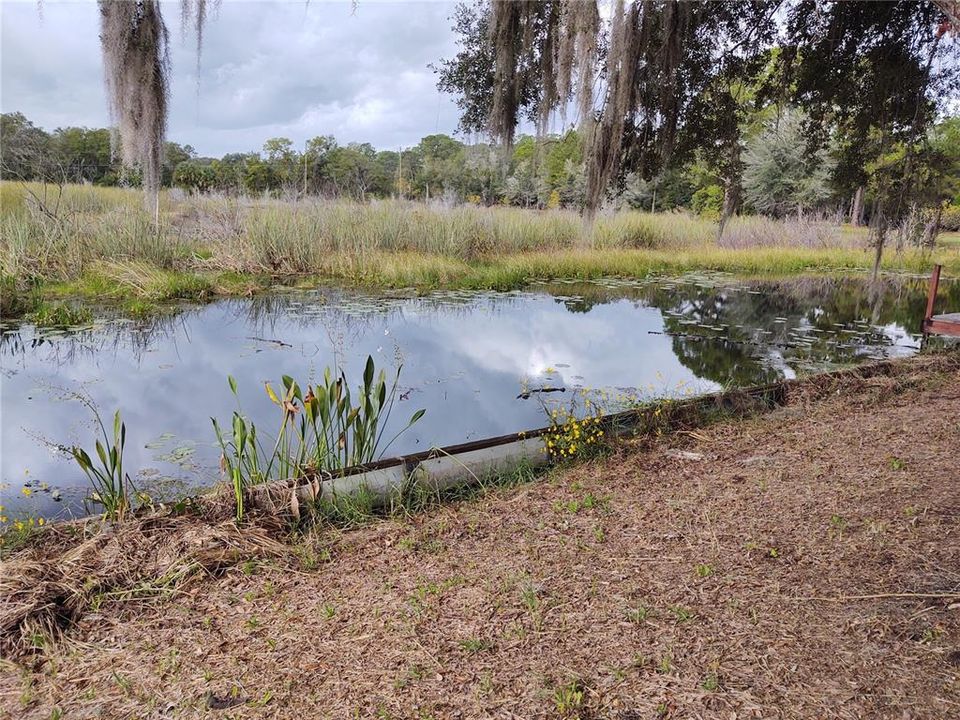 Canal and Bulkhead on west side of home.