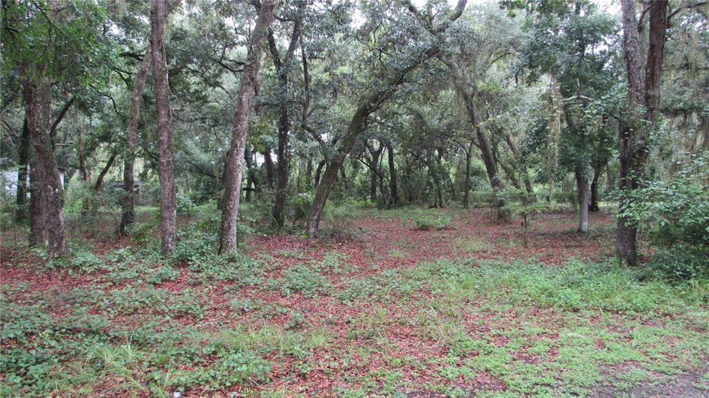 Recently Sold: $16,500 (0.51 acres)