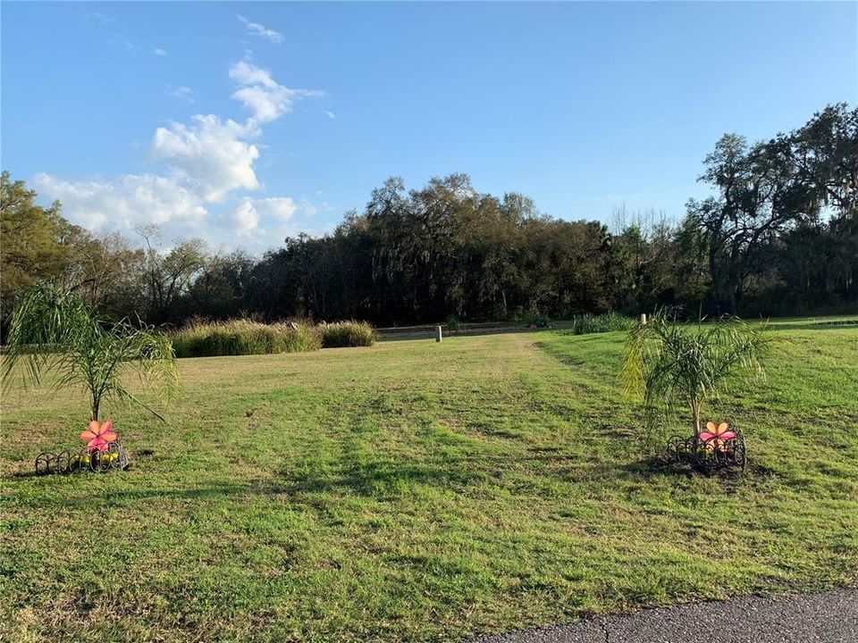 Are you looking for the perfect vacant lot?!