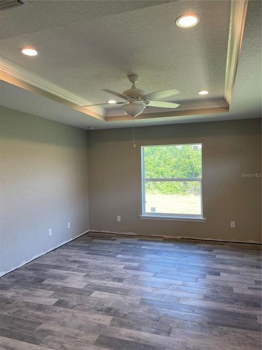 Wood look tile floors throughout the home, tray ceilings.