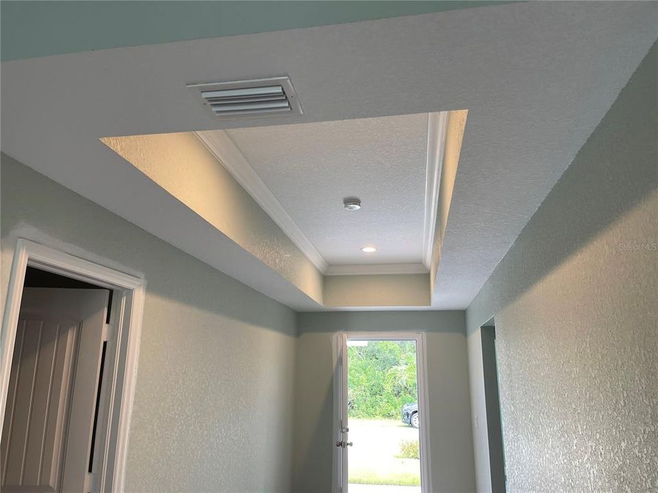 tray ceilings and recessed can lighting throughout the home