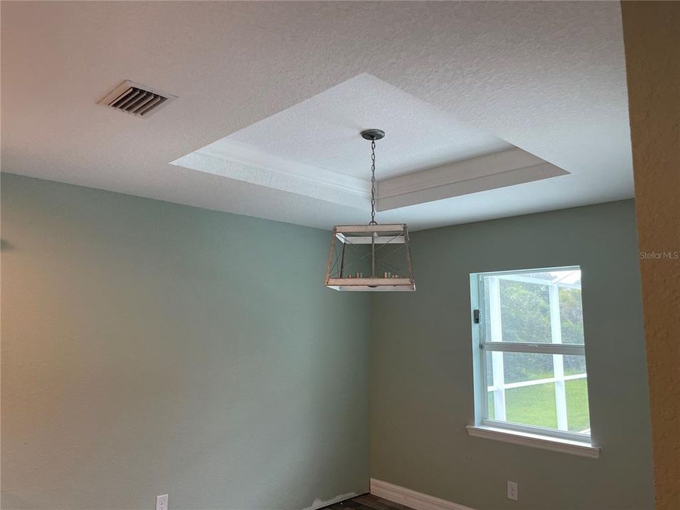 Tray ceilings and custom lighting