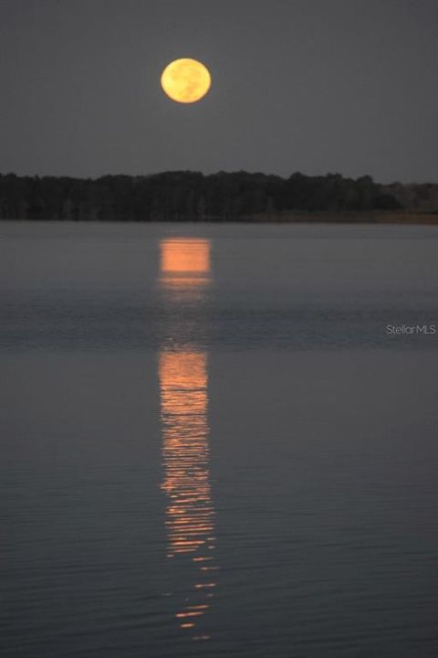 Awesome moonlit nights over lake