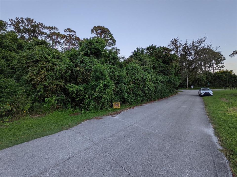 View of lot from street (on the left)