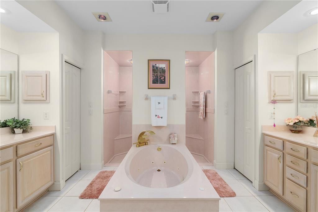 Master Bathroom with Large soaking/Jet Tub