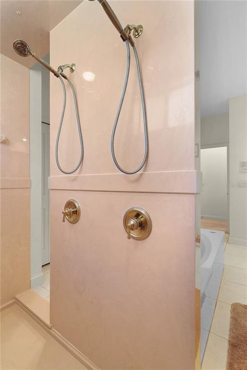 Walk in Dual Shower