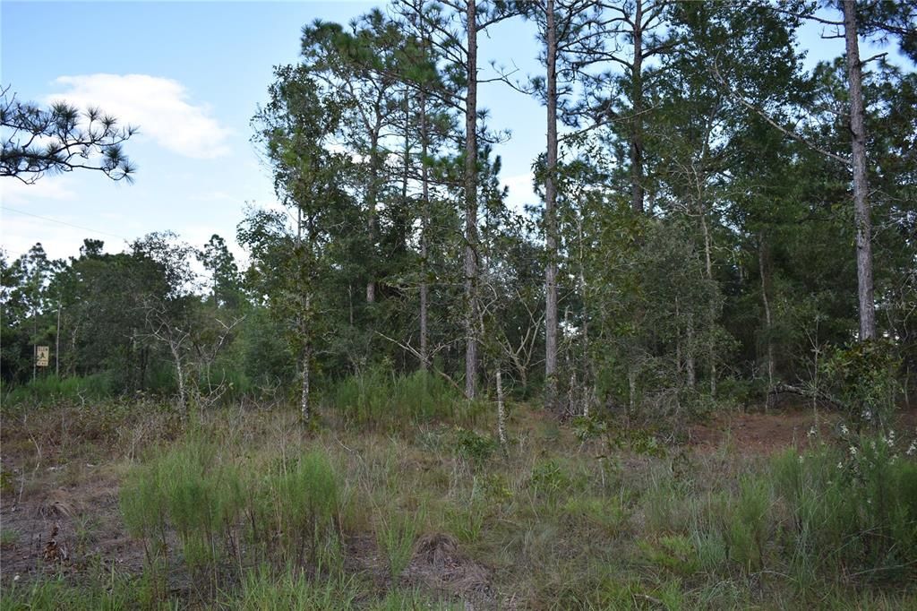 Recently Sold: $19,000 (1.25 acres)