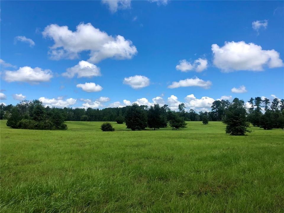 Recently Sold: $480,000 (40.01 acres)