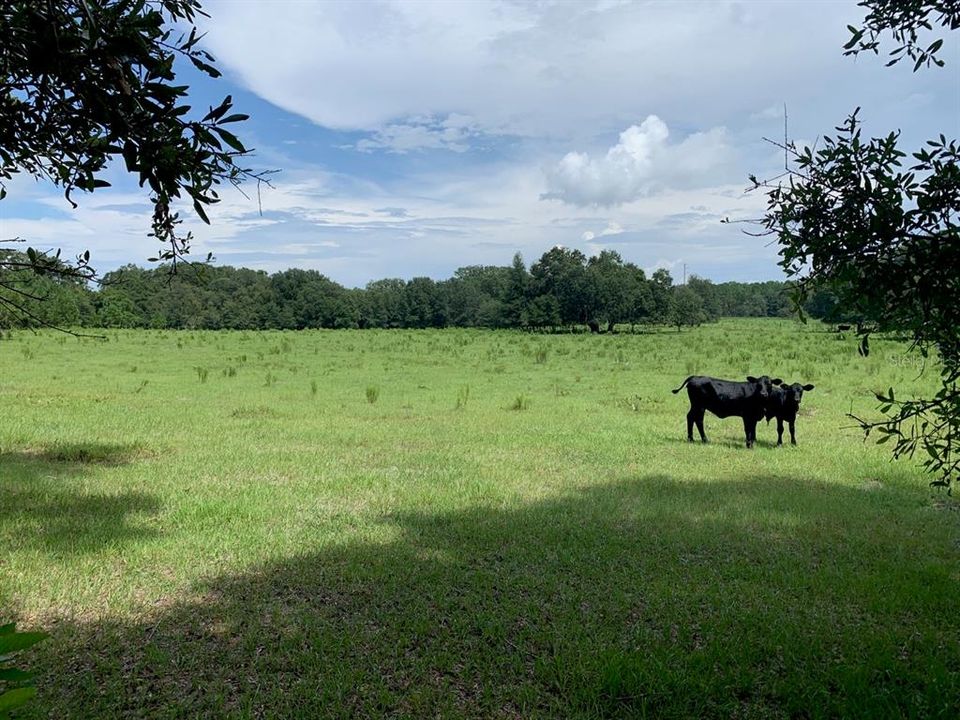 Vendido Recientemente: $130,000 (15.00 acres)