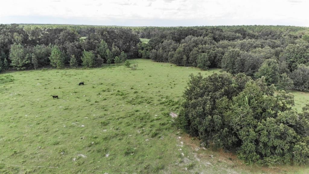 Recently Sold: $130,000 (15.00 acres)