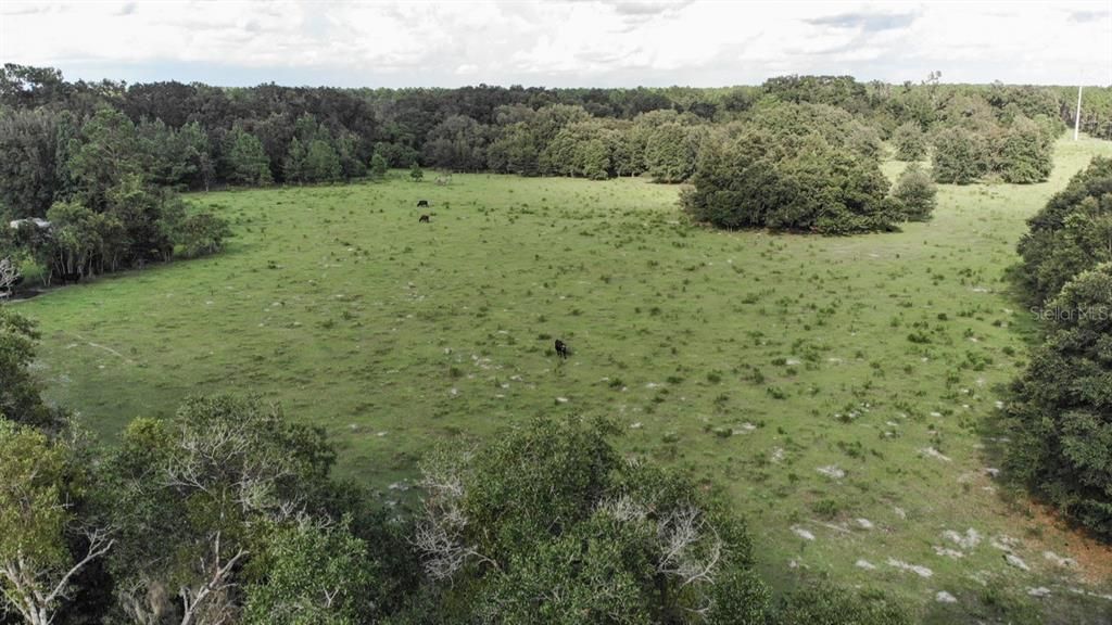 Recently Sold: $130,000 (15.00 acres)